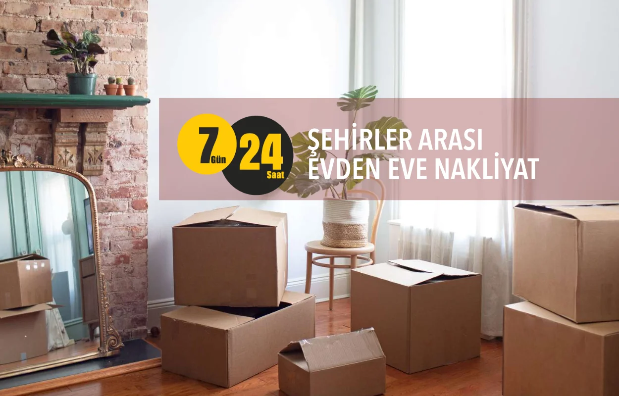 Meskaya Şehirler Arası Nakliyat