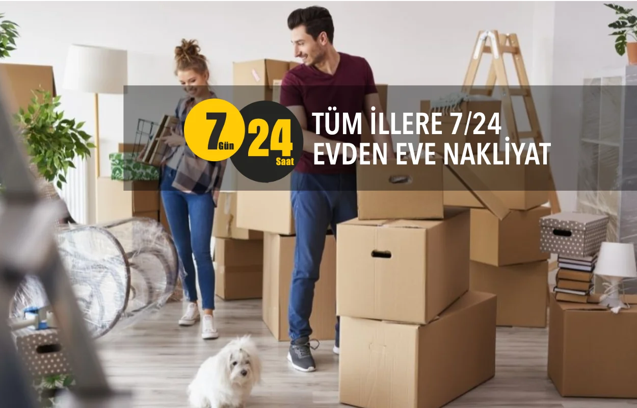 Meskaya Şehirler Arası Nakliyat